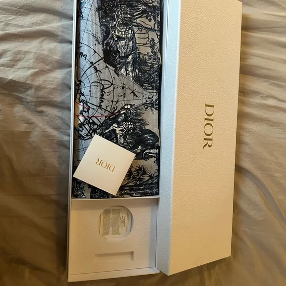 Stylish Blue and Beige Tote Bag Dior around the world